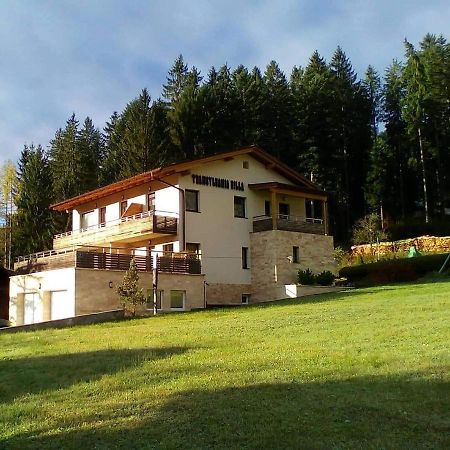 Transylvania Villa&Spa Gosau Zewnętrze zdjęcie
